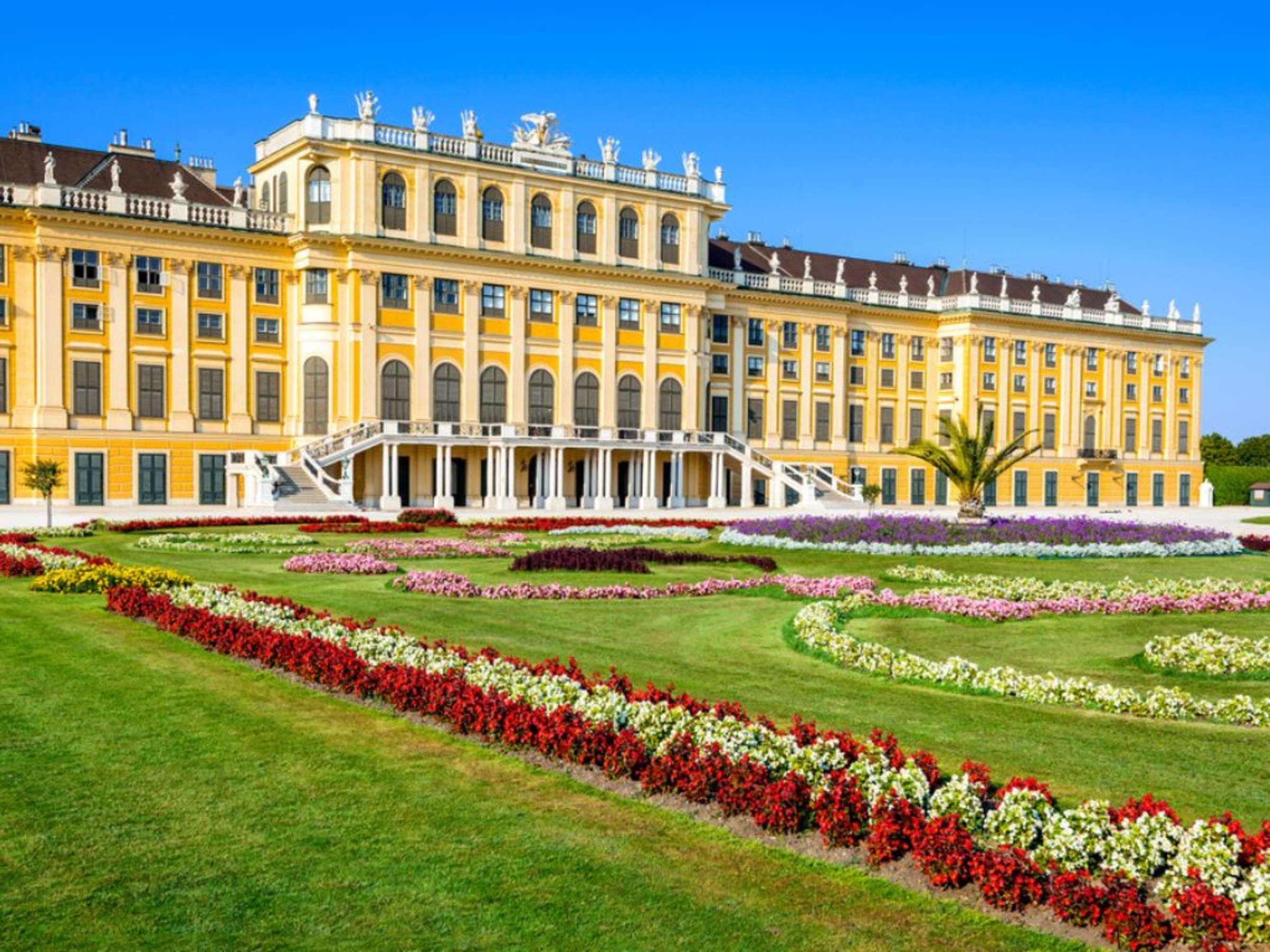 Summer at Schönbrunn: Where Royalty Meets Sunshine